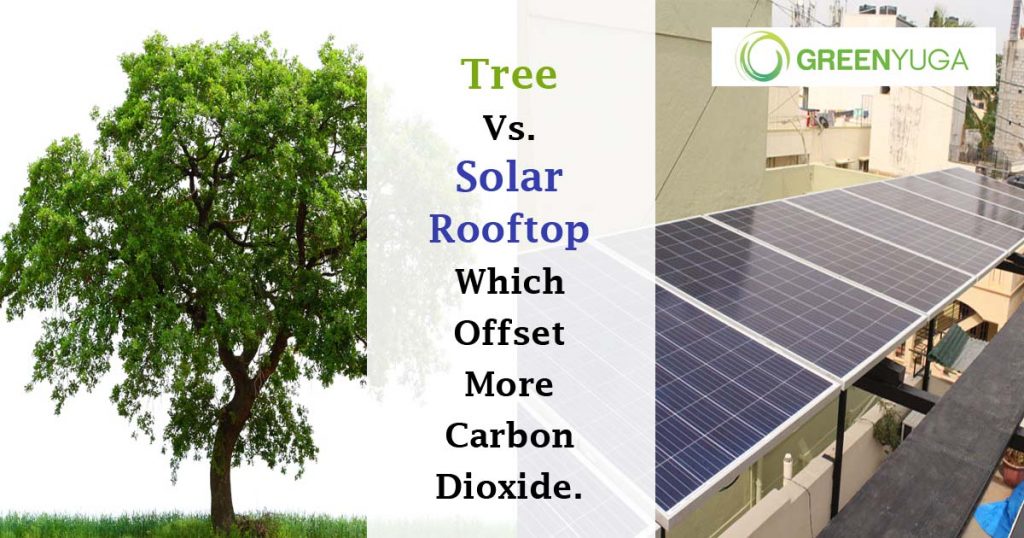 Tree vs Solar Rooftop